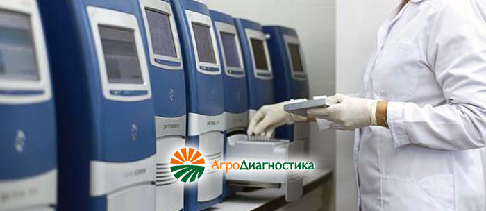 Закрытый грунт